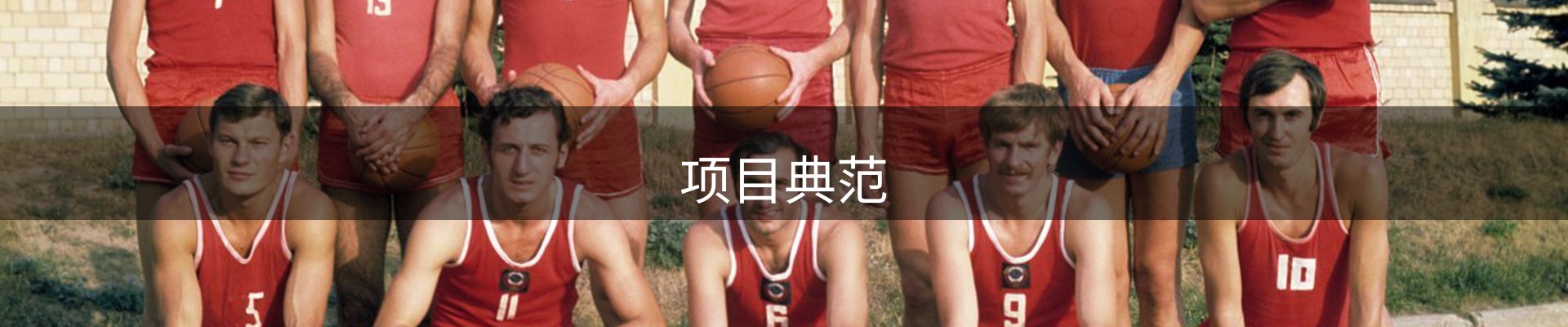 项目典范